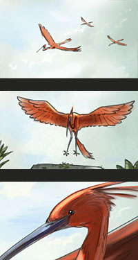 Flying, landing and looking Storybird.