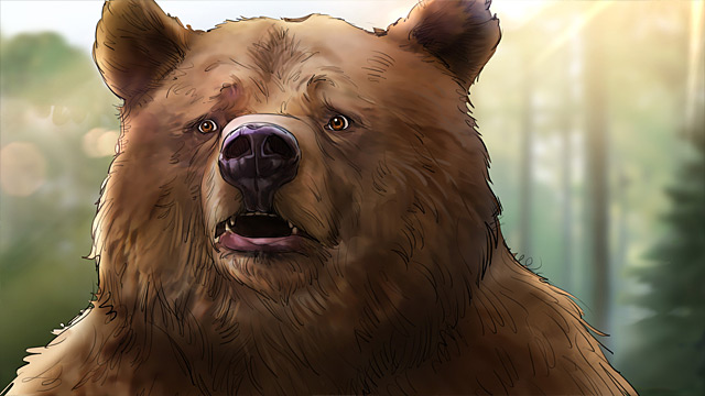 CloseUp - Der Grizzlybär schaut immernoch ganz verdutzt.